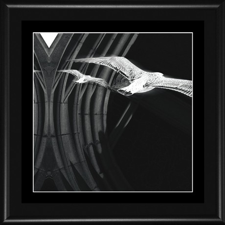 Roztáhni křídla a leť! (MANDALA 003a) MANDALA 003a - 18x18 (15x15) rám černý kov