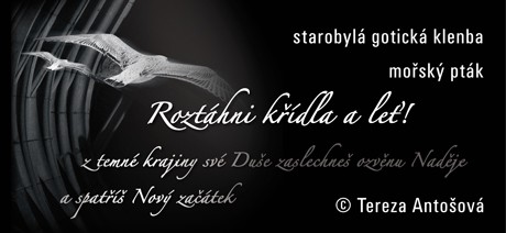 Popiska MANDALA 003a