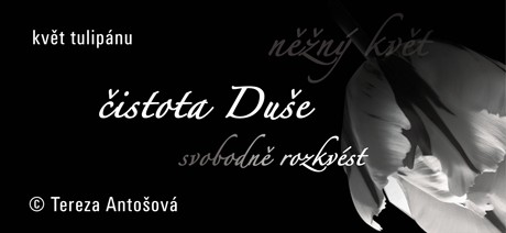 Popiska MANDALA 003a