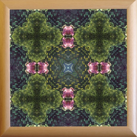 Bohatství přírody (MANDALA 042) MANDALA 042 - 25x25 rám přírodní dřevo