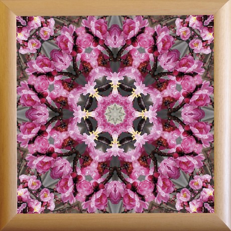 přicházející Jaro (MANDALA 803) MANDALA 803 - 25x25 rám přírodní dřevo