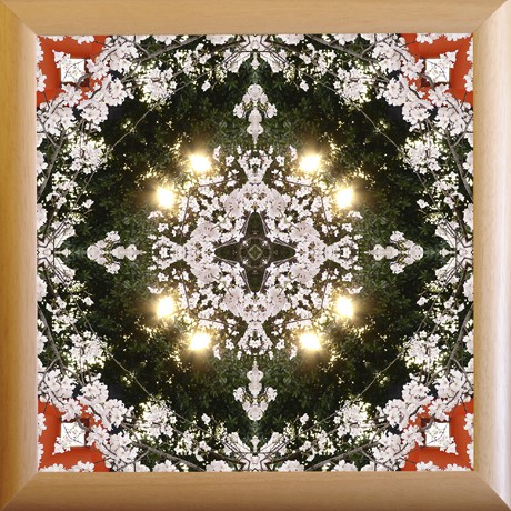 Slavnost kvetoucích Sakur (MANDALA 808) MANDALA 808 - 25x25 rám přírodní dřevo